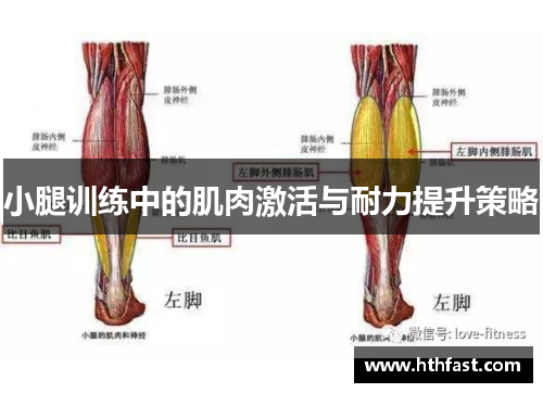 小腿训练中的肌肉激活与耐力提升策略